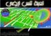 التنس الأرضي