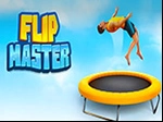 Flip Master